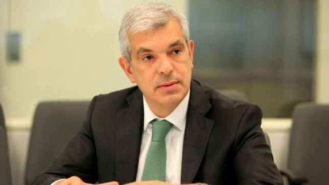 dominguez ya habla de cambios y descarta restricciones para exportar