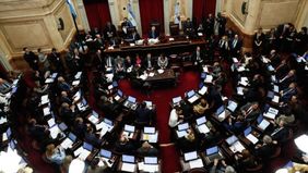 Con un debate exprés, el Senado sancionará la emergencia alimentaria