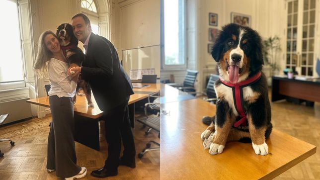 Karina Milei, Thor y Manuel Adorni en la Casa Rosada.