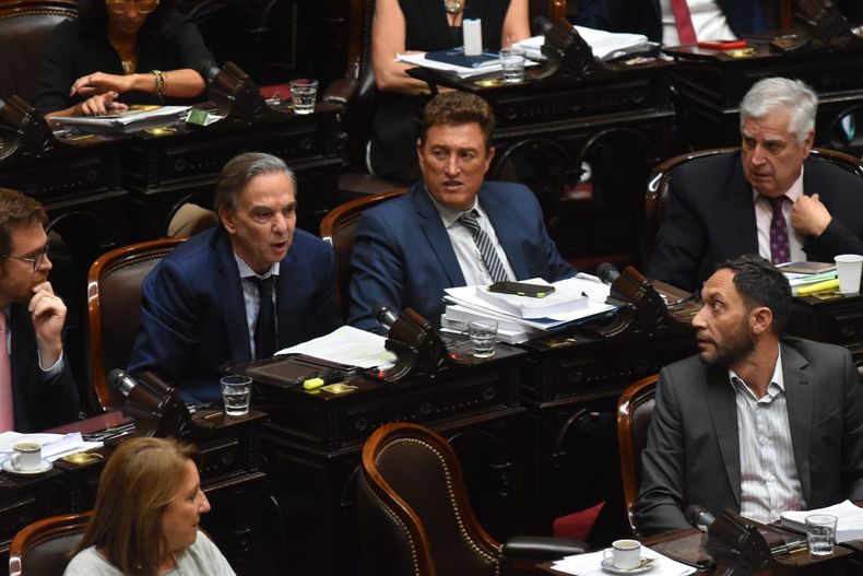 Miguel Pichetto, durante la sesión en Diputados. Miguel Pichetto, durante la sesión en Diputados.