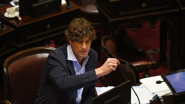 Martín Lousteau, lidera la denuncia contra Patricia Bullrich, por su defensa a Karina Milei. 