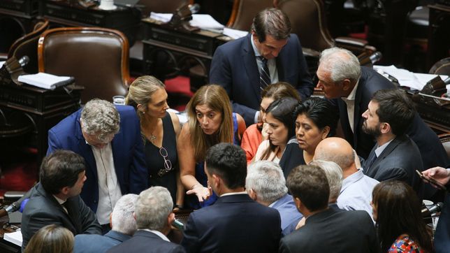 Cumbre del grupo de la UCR rebelde, en plena sesión por el tratamiento de la ley ómnibus.&nbsp;