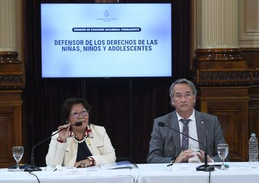 Vilma Bedia y Nicolás Mayoraz, representantes del Gobierno en la bicameral de Niños, Niñas y Adolescentes.&nbsp;
