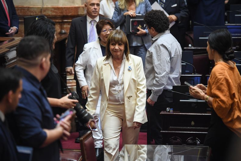 Patricia Bullrich, en el Senado.&nbsp;