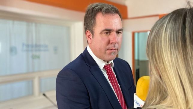 el rebelde de la cordillera