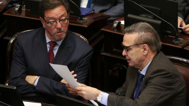 pichetto a cfk: ?tranquila, usted va a poder ser candidata en 2019?