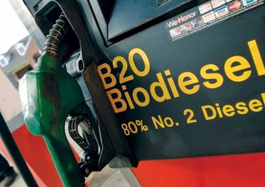 Retenciones cero: Javier Milei y Toto Caputo hunden a las pymes del biodiésel