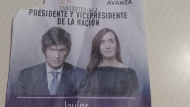 javier milei le pidio a la justicia que sean validas las boletas de las paso