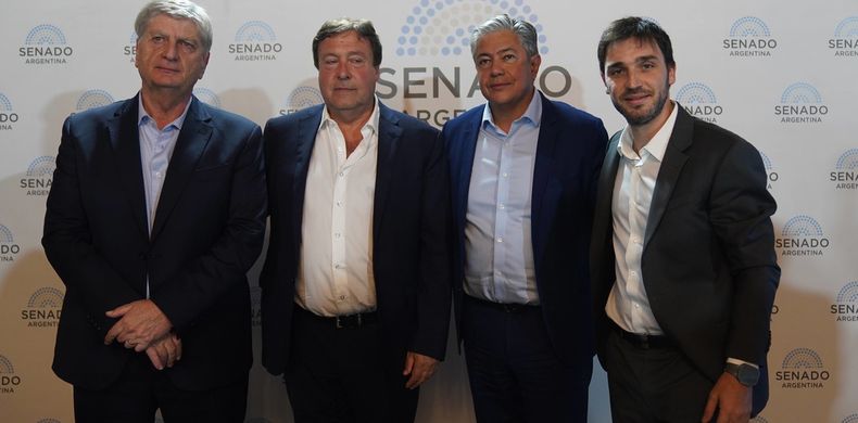 Gobernadores de la Patagonia discuten por el estatus sanitario.