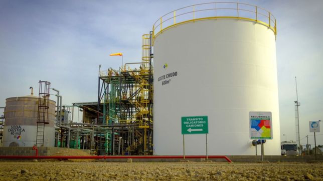 bahia blanca: empresa de biocombustible suspende su produccion