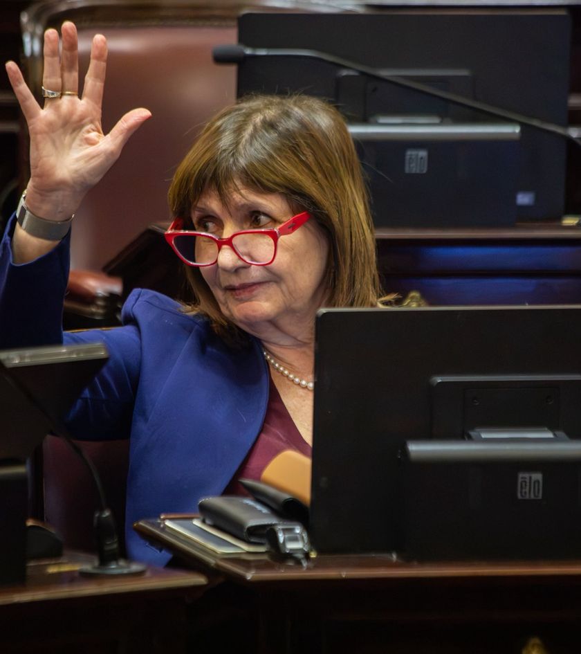 ¿Patricia Bullrich candidata a vice? La data detrás de sus diferencias con Javier Milei