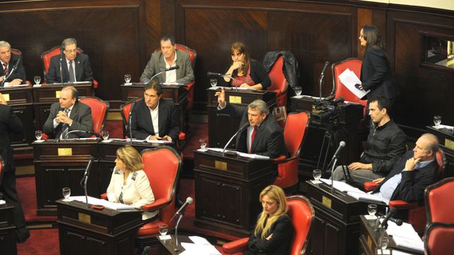 leonor granados, la primer massista en apoyar a mariotto