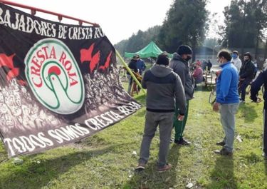 Cresta Roja: trabajadores van por una cooperativa y piden apoyo del Gobierno