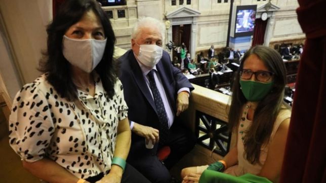 ola verde presencial del gobierno en diputados