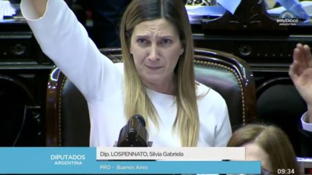 lospennato, la diputada pro que resumio el espiritu del hito historico
