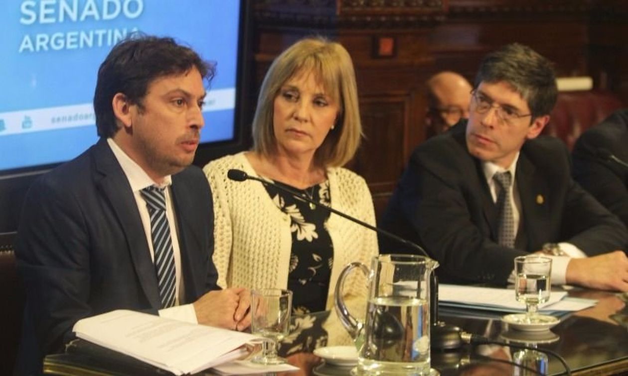 Asociacion Periodismo Digital Senado Comision Marino Fidanza Fellner Abal Medina