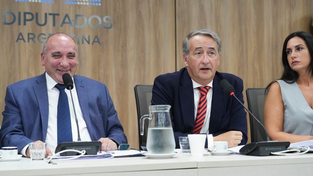 José Peluc y Nicolás Mayoraz, diputados de La Libertad Avanza. Están a cargo de la audiencia por glaciares.&nbsp; 