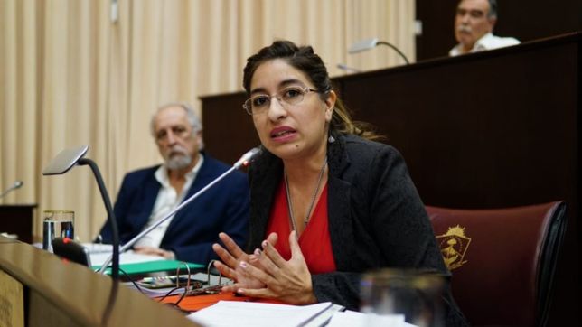 ?la pandemia agudizo los problemas de neuquen; el mpn hace agua por todos lados?