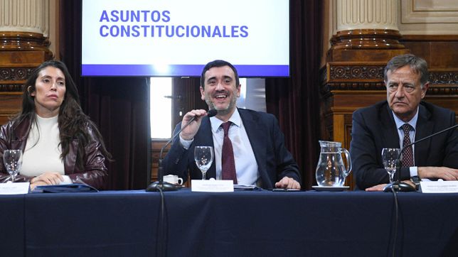 Agustín Coto, durante el plenario de la Comisión de Asuntos Constitucionales del Senado. No se discutieron las PASO.&nbsp;