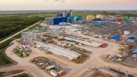 Central Térmica Ensenada Barragán emitió un bono por u$s96 millones al 0%