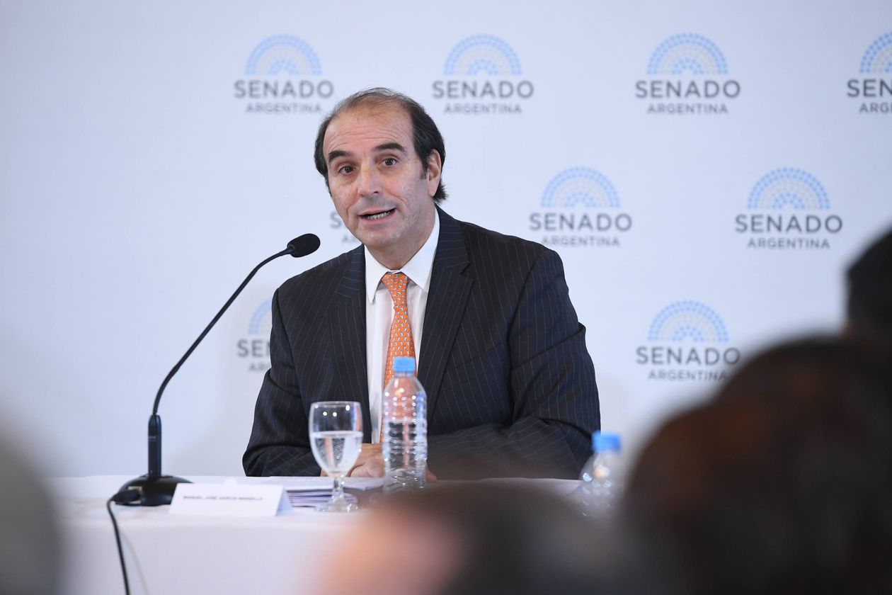 Manuel García-Mansilla en el Senado.