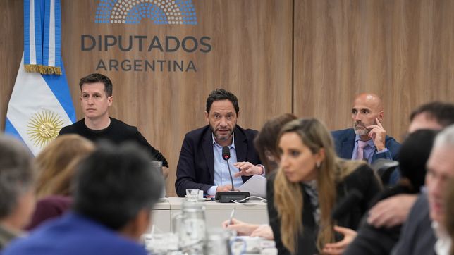 Juan Marino (UP) y Maximiliano Ferraro (CC), durante la reunión de comisión $Libra, que investiga Javier Milei.&nbsp;