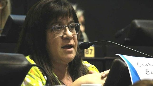 ?en la provincia de buenos aires, los programas de genero fueron desmantelados?