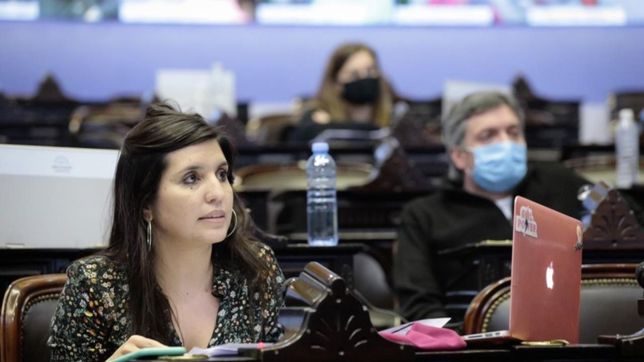 tiene dictamen el proyecto de ley de fuego de maximo kirchner