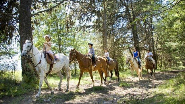 en noviembre, cordoba conmemora el mes del caballo para potenciar el turismo