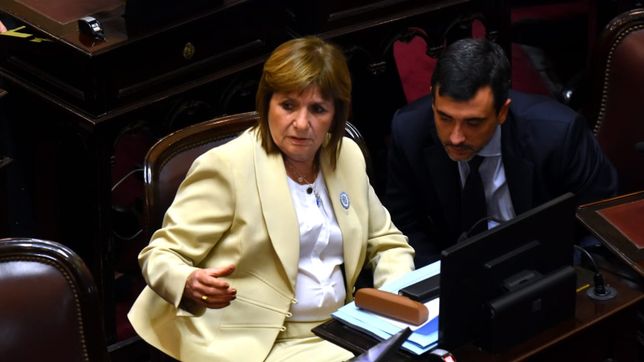 Reforma laboral: Patricia Bullrich avanzó en un acuerdo con la oposición y presiona a Javier Milei.