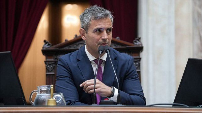 Martín Menem.&nbsp;