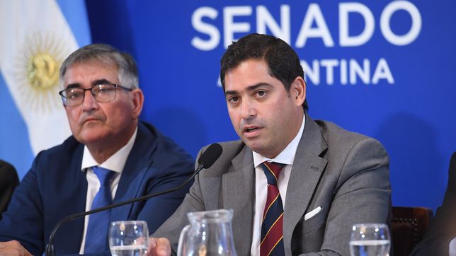 Mahiques destrabó los pliegos judiciales y el hijo de Horacio Rosatti enfrentó una audiencia incómoda.