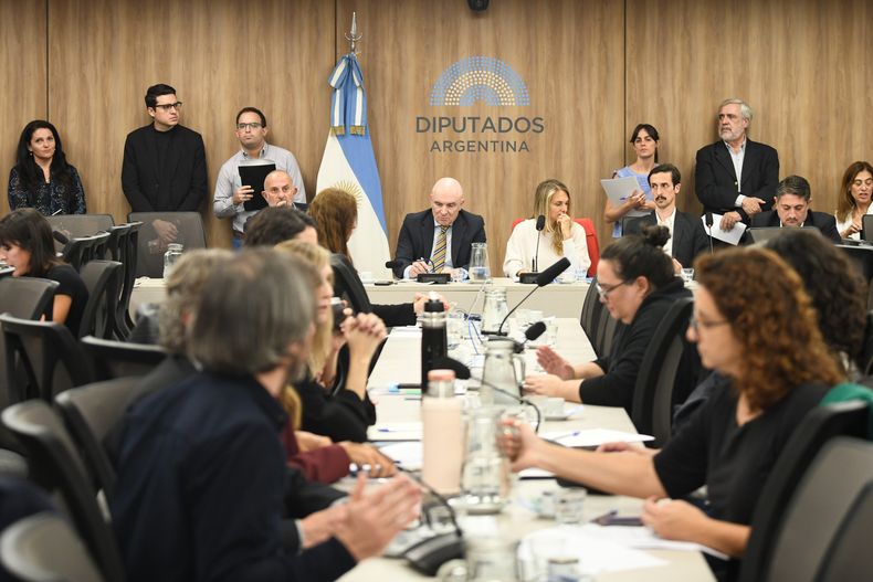 El plenario de comisiones. 
