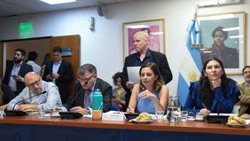 Cuidados: arrancó el debate en Diputados para ampliar licencias por maternidad y paternidad