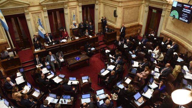 El Senado debate el proyecto de Ficha limpia. 