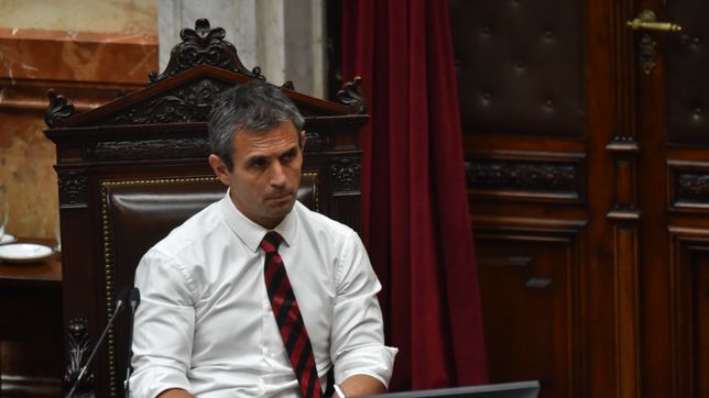 Martín Menem, presidente de la Cámara de Diputados.  Martín Menem, presidente de la Cámara de Diputados.