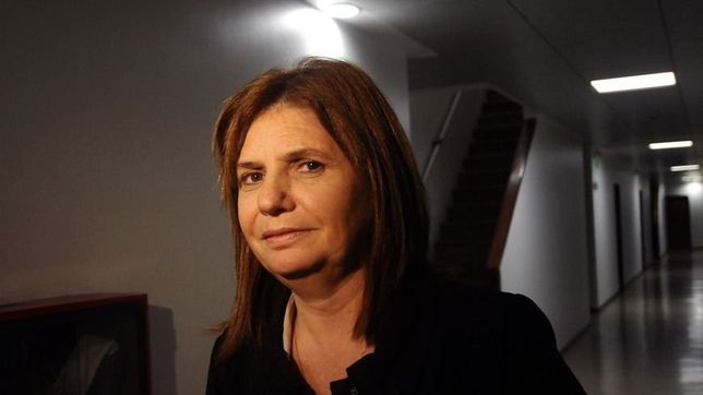 incomoda, bullrich pidio investigar a niembro