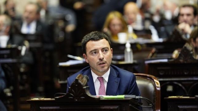 Rodrigo de Loredo, jefe del bloque de la Unión Cívica Radical en Diputados.