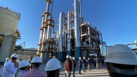 Crisis del gasoil: la industria del biocombustible le suma presión al Gobierno