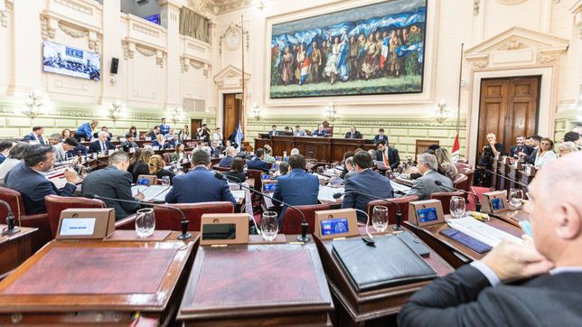Santa Fe: la Convención le pone fin a las reelecciones indefinidas en municipios, pero dentro de 10 años