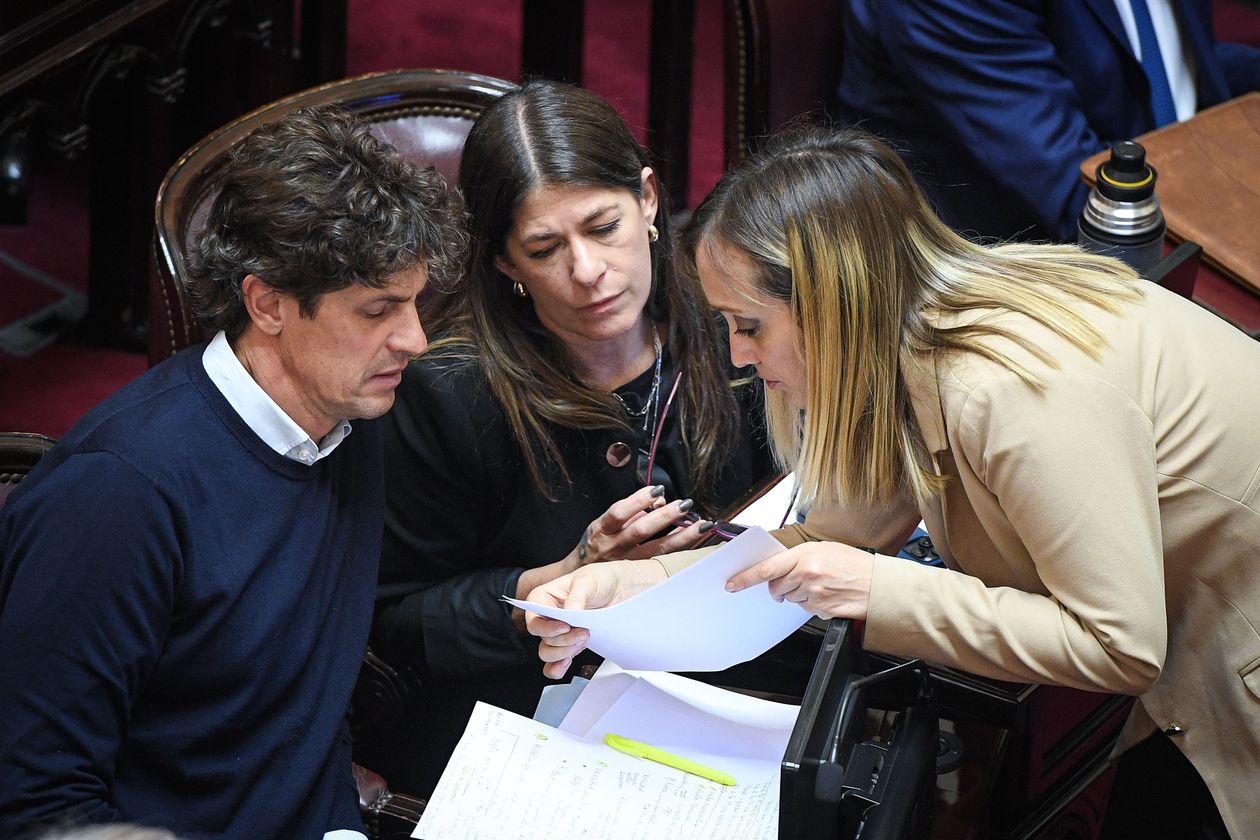 La oposición en el Senado.&nbsp;