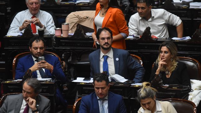 El bloque de Javier Milei en Diputados.&nbsp;