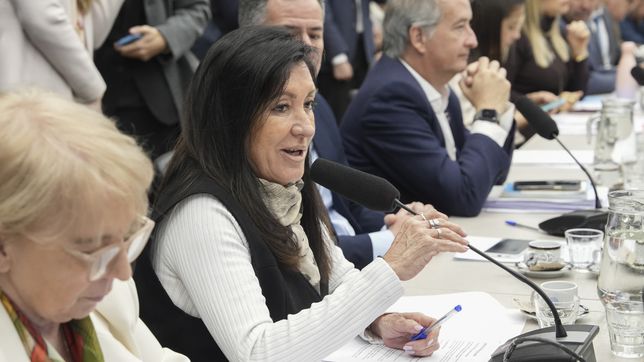 Silvana Giudici y Laura Rodríguez Machado (La Libertad Avanza).&nbsp;