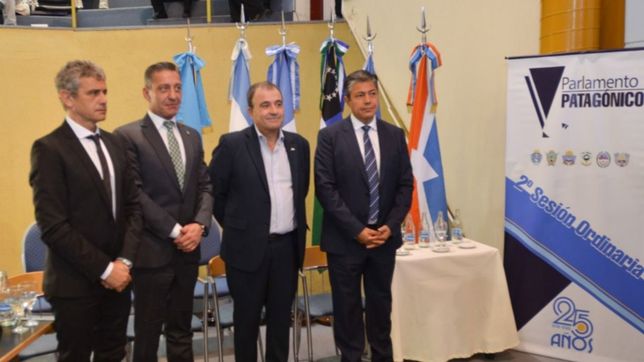 la rebelion de los vices podria activar el bloque patagonico que macri resiste