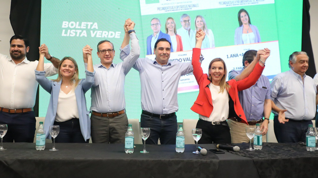 Alfredo Vallejos, Gustavo Valdés, e Ingrid Jetter, en el centro, durante la campaña en 2023 en Corrientes.