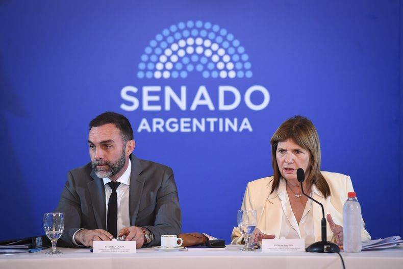 Ezequiel Atauche y Patricia Bullrich, de La Libertad Avanza, durante el debate de la reforma laboral.&nbsp;