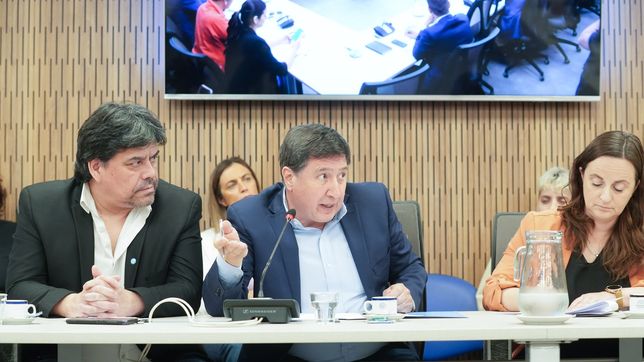 Daniel Arroyo, al frente del proyecto sobre Discapacidad que busca bloquear Javier Milei. 