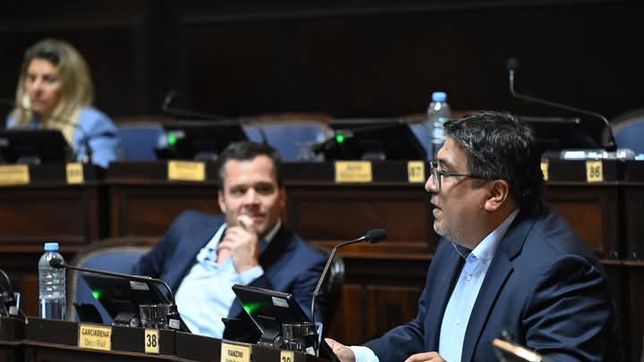 Matías Ranzini, jefe del bloque PRO en Diputados.