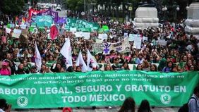 Feminismo argentino de exportación