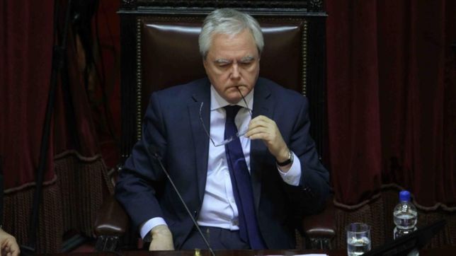 pinedo: ?los analistas politicos siempre pensaron que los del pro eran tontos?